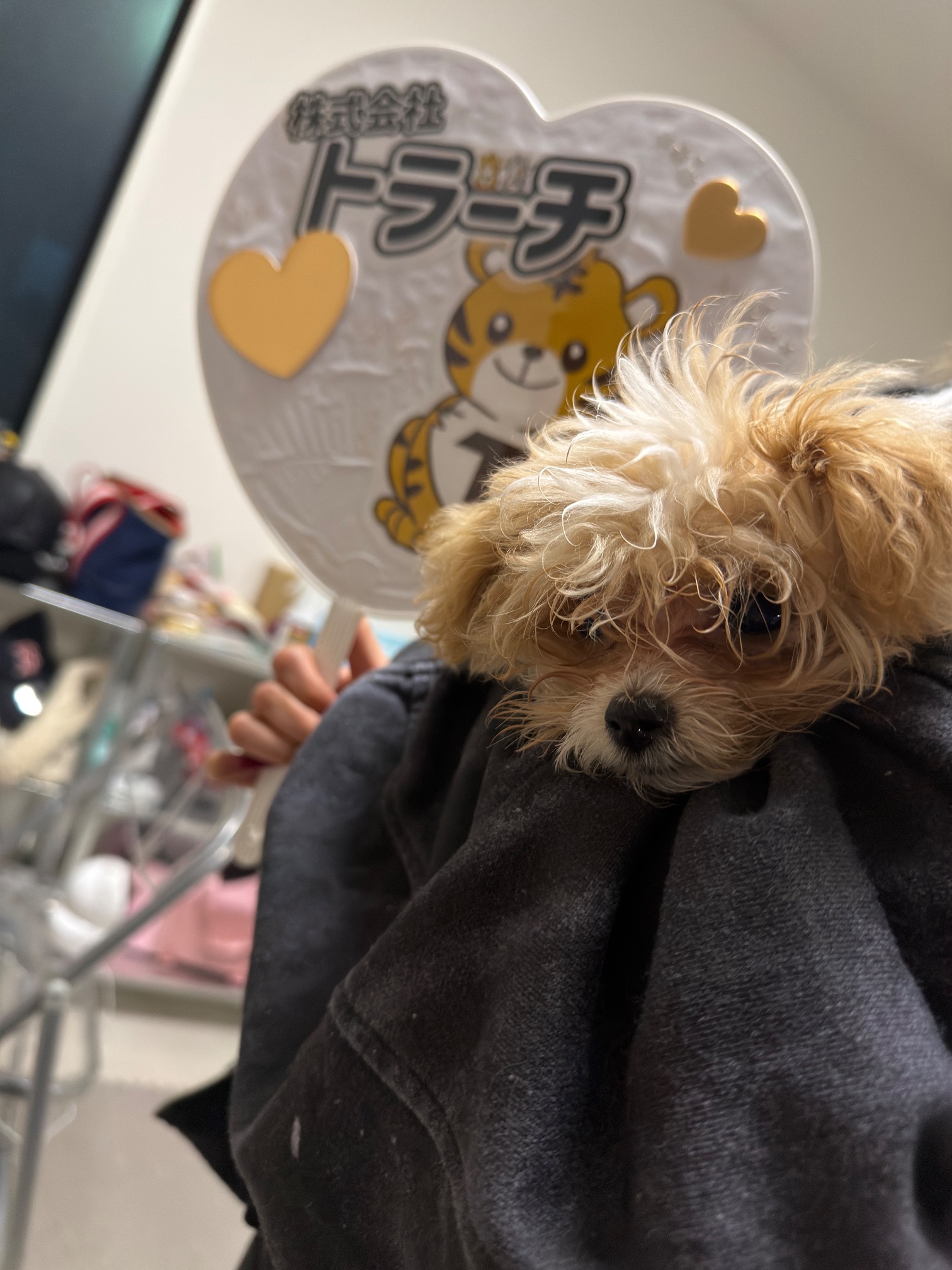 東京都  八王子市  I様邸