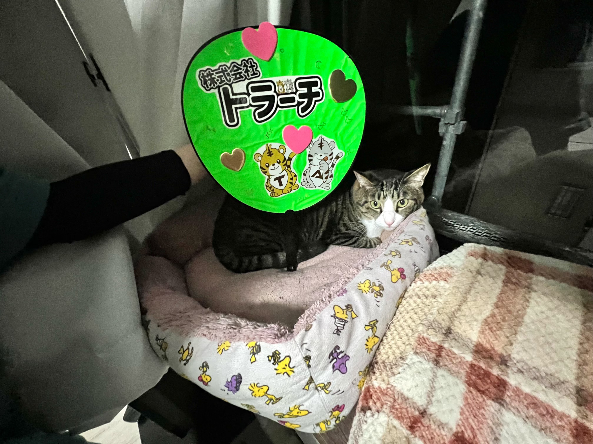 東京都 小平市  N様邸